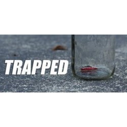 2010 Paper Crane jordan johnson - TRAPPED