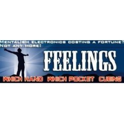 2010 MentalBuster - Feelings