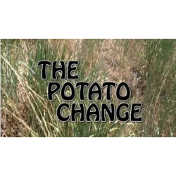 2013 T11 Potato Change by Gerald Robinson