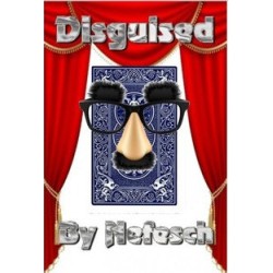 2012 Disguised by Nefesch