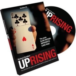 2013 Uprising by Richard Sanders