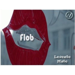 2013 T11 Flob by Levente Mate