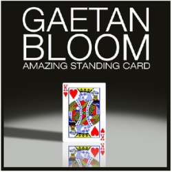 2013 Amazing Standing Card by Gaetan Bloom