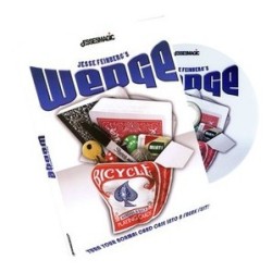 2013 Wedge by Jesse Feinberg