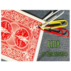 2014 LinX by Arnel Renegado