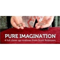 2012 Scott Robinson - Pure Imagination