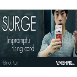 Surge by Patrick Kun 2011