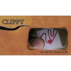 2011 T11 Kevin Schaller - Clippy