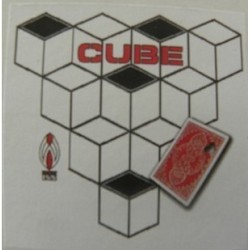 2012 Shoot Ogawa - Cube
