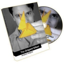 2010 Origami Effect by Andrew Mayne