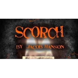 2010 papercranemagic Jacob Hanson - Scorch