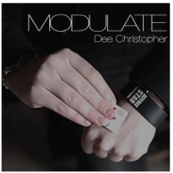 2013 Modulate by Dee Christopher