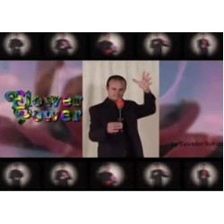 Flower Power - Salvador Sufrate
