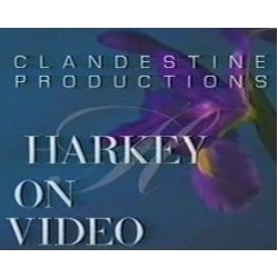 David Harkey - Harkey On Video
