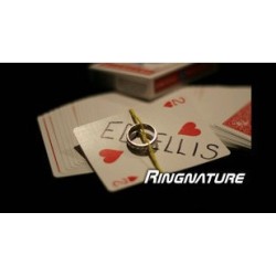 2012 T11 Ringnature by Ed Ellis
