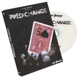 2013 PrediChange by Yonel Arcade
