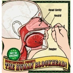 Human Blockhead - Nail in Nose