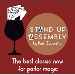 Stand Up Assembly by Vernet