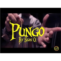 2012 T11 Pungo by Sean Oulashin