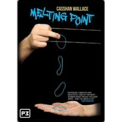 2013 Melting Point by Casshan Wallace