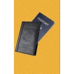 Passport by David Regal