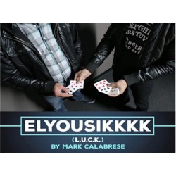 2015  Elyousikkkk (L.U.C.K.) by Mark Calabrese