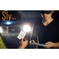 2015 Sly Card by Bboymagic