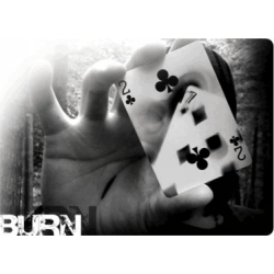 Burn by Daniel Madison