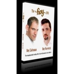 Roy Zaltsman & Roy Yozevitch - The Roy