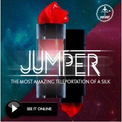 2015  Jumper by Vernet Magic