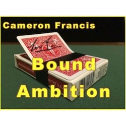 2015  Bound Ambition by Cameron Francis