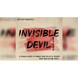 Invisible Devil by Lee Alex