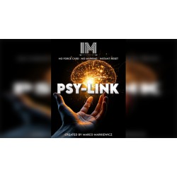 PSY-LINK by Marco Markiewicz