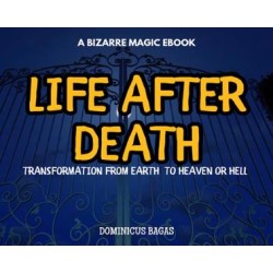 Life After Death by Dominicus Bagas