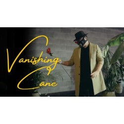 Bojan Barisic - The Vanishing Cane