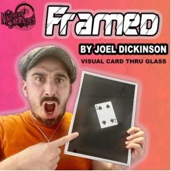 FRAMED by Joel Dickinson
