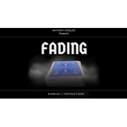 Fading by Anthony Vasquez