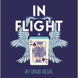 In Flight by David Regal