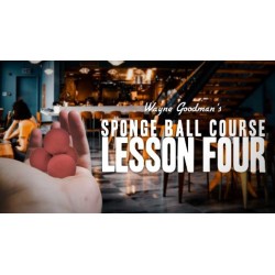 Wayne Goodman - Sponge Ball Course Lesson 4