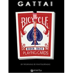 Gattai by Morning