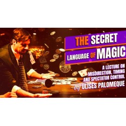 Secret Language of Magic by Ulises Palomeque