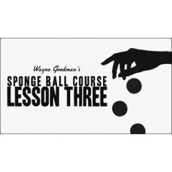 Wayne Goodman - Sponge Ball Course Lesson 3
