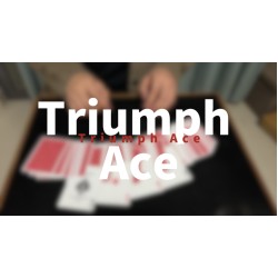 Triumph Ace By Miku W