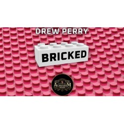 Bricked by Drew Perry