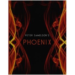 Phoenix by Peter Samelson