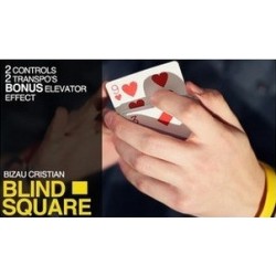 The Blue Crown Bizau Cristian - Blind Square