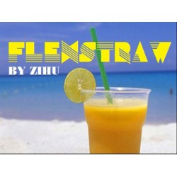 2015 Flexstraw by ZiHu