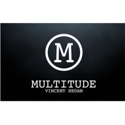 2015 Multitude by Vincent Hedan & System 6