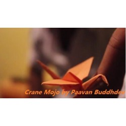 2014  Crane Mojo by Paavan Buddhdev