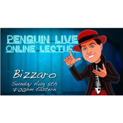 2013 Bizzaro Penguin Live Online Lecture